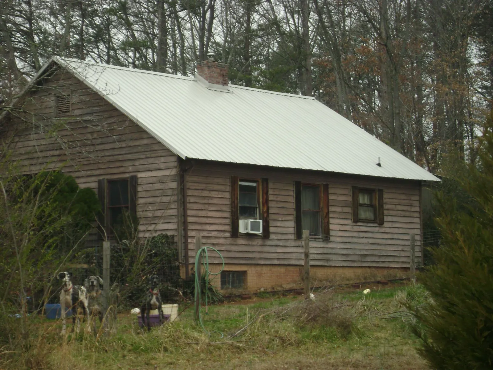 White metal roof on an old wood sided farmhouse, from a Metal Roof Installation job in North Rose